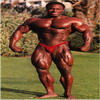 Lee Haney